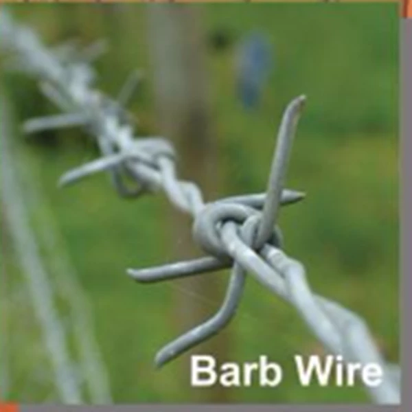 Barb Wire Forte BEG 14 Galvanized